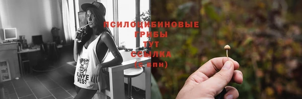 mdma Каменногорск