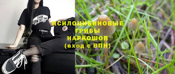 mdma Каменногорск