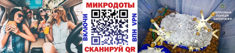 Купить закладки  Александровск-Сахалинский  Псилоцибиновые грибы MAGIC MUSHROOMS 